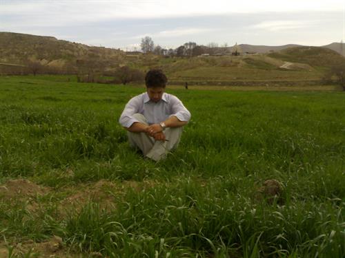 amir hoseyn&nbsp;babaei rad