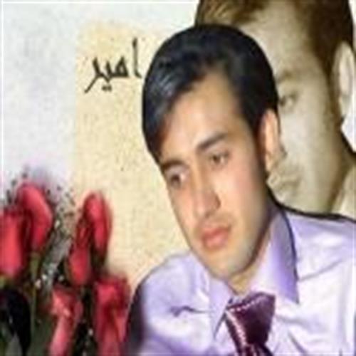 amir&nbsp;mohammadi