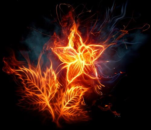 aliff.reza&nbsp;reza