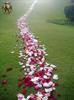 hossein