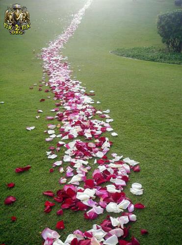 hossein&nbsp;kashefi