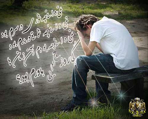 mehrshad&nbsp;hosseini