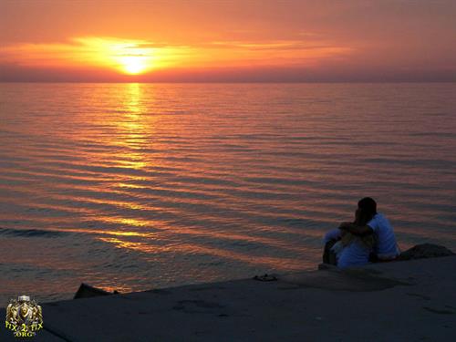 hamidreza&nbsp;alezadeh