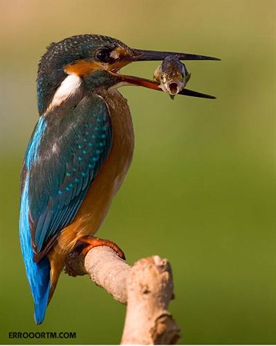 sssssssssss&nbsp;aaaaaaaaaaaaa