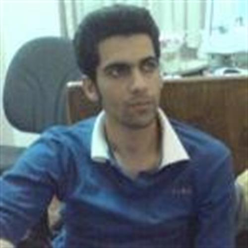 hamed&nbsp;shahrokhie