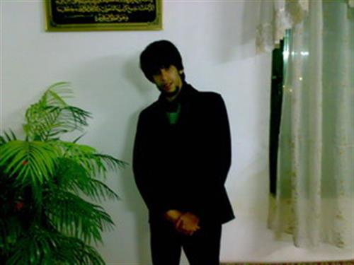 mohammad&nbsp;ghardashi