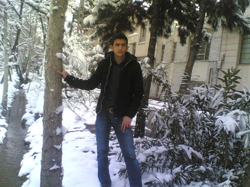 navid&nbsp;zolfaghari