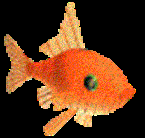 mohamad reza&nbsp;jalilian