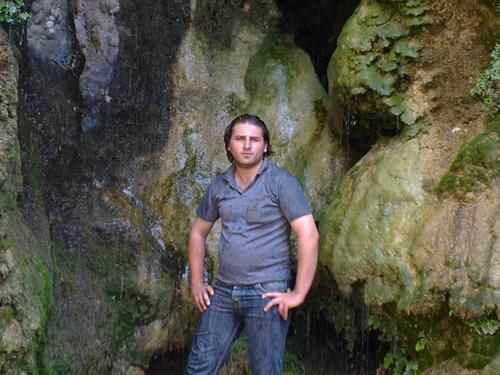 mohammad reza&nbsp;nik