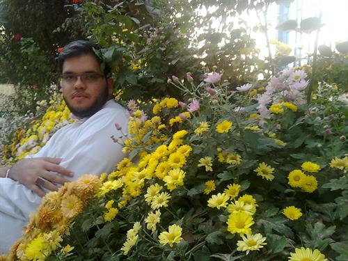 mohammad mahdi&nbsp;abbaci