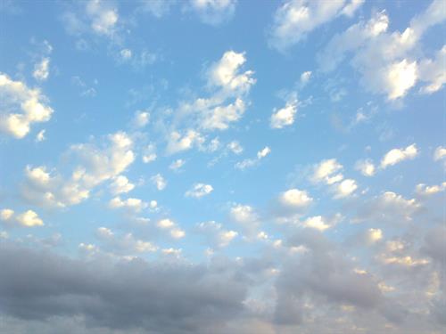 mohammad&nbsp;hasanzadeh