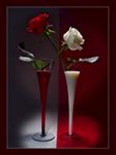 amirhosein&nbsp;love