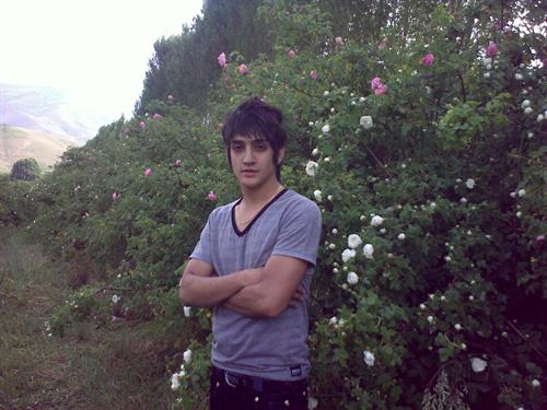 shervin&nbsp;mousivand