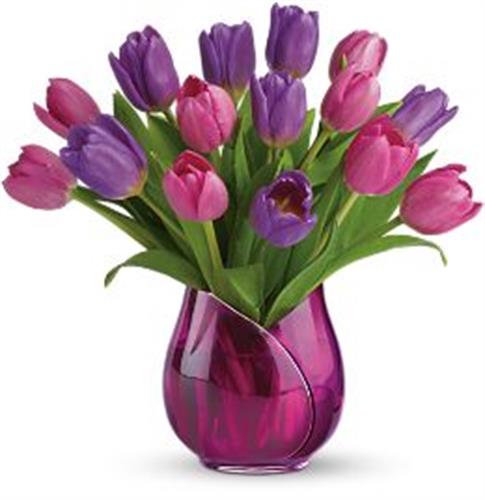 kamran&nbsp;mohamadi