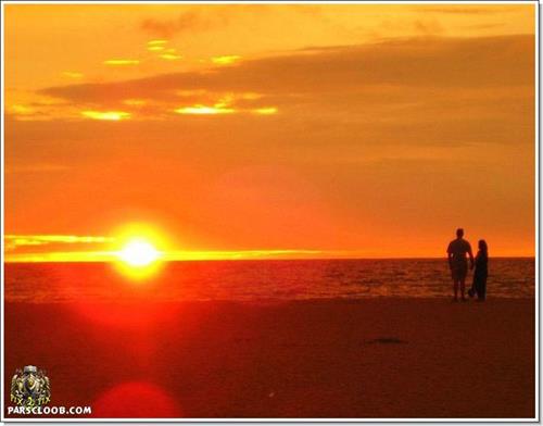 sepehr&nbsp;alizadeh