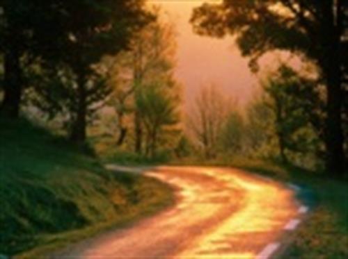 soshiya&nbsp;soltani