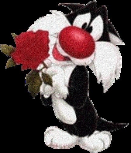 amir  60&nbsp;p .  y