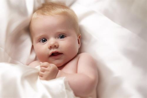 ehsan&nbsp;amirzadeh