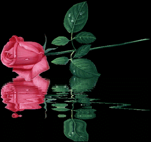 bahar5826&nbsp;mohamadi