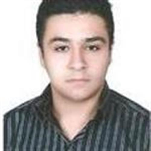 mohammadreza&nbsp;ganji
