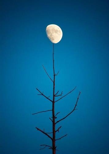 امین&nbsp;حميدی