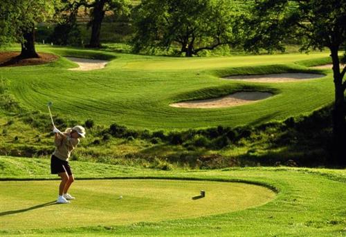 mahmood&nbsp;dosed daram