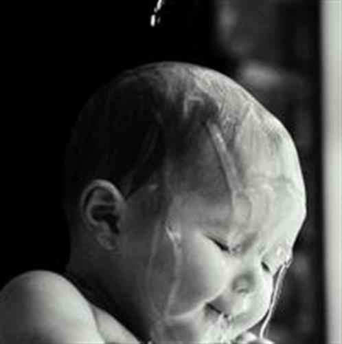 motahareh&nbsp;amiri