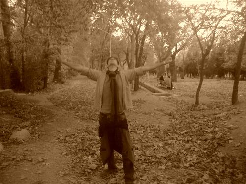 aminarsalan&nbsp;aranian