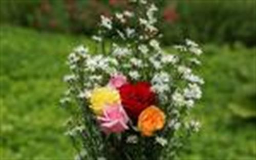 alireza&nbsp;hajizadeh