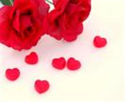 morteza&nbsp;hosseyni