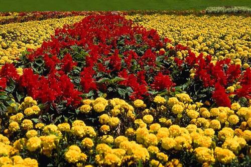 mehdi&nbsp;hoseinzade