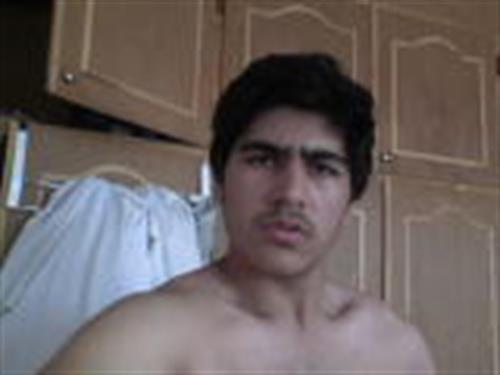 morteza&nbsp;esmaili