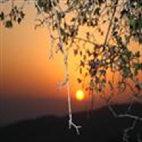 amirhossein&nbsp;shayan