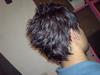 arash