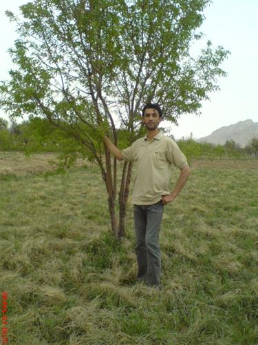 mohsen&nbsp;gohar chian