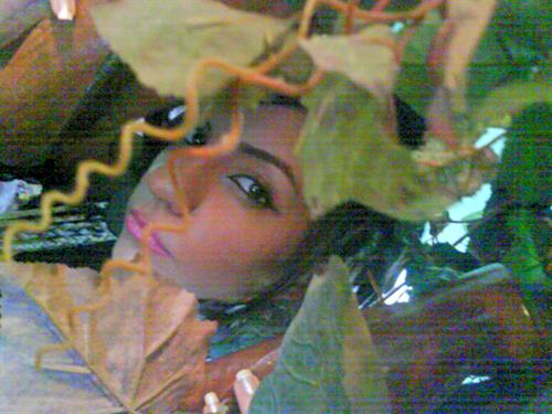 sheida&nbsp;vakilpour