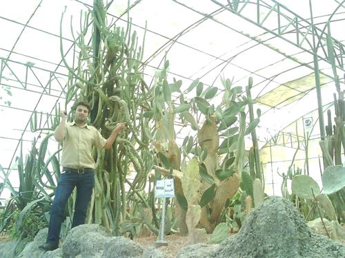 danial&nbsp;ruzitalab