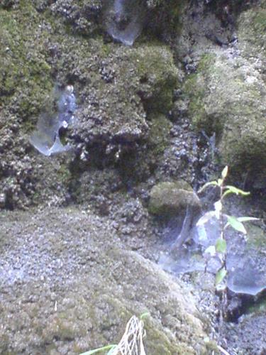 sepideh&nbsp;khosravi