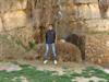 hesam