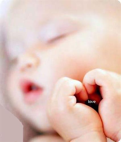 farshad&nbsp;f