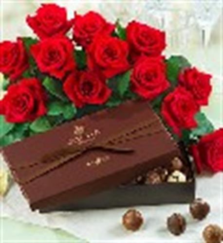 ordibehesht&nbsp;shamim