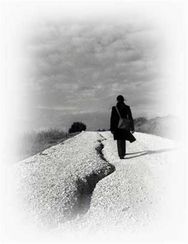 behzad&nbsp;mohamadi