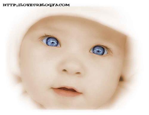 mohsen&nbsp;lavasani