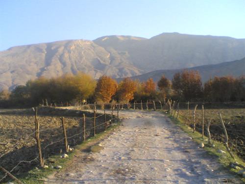 asghar&nbsp;alizadeh