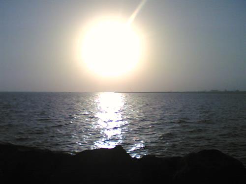 mehrdad&nbsp;bandari