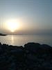 omid