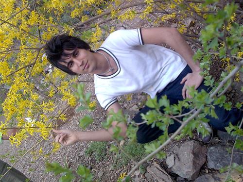 shervin&nbsp;hosiany