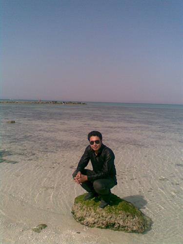 alireza&nbsp;dehkordi