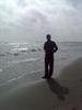 arash