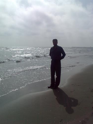 arash&nbsp;sheida